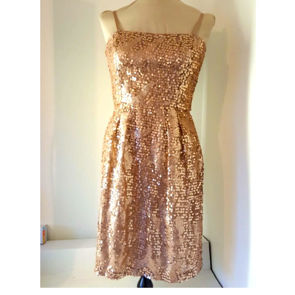 BCBGMAXAZRIA Carole Sequin Dress In Champagne. Size 4.